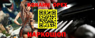 шишки Новодвинск