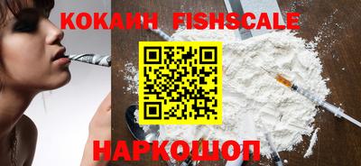 шишки Новодвинск