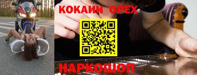 шишки Новодвинск