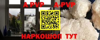 шишки Новодвинск