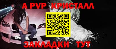 шишки Новодвинск