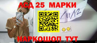 шишки Новодвинск