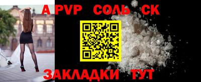 шишки Новодвинск