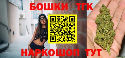 МДПВ Новозыбков