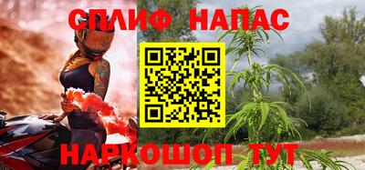 МДПВ Новозыбков