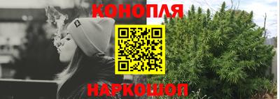 шишки Новодвинск