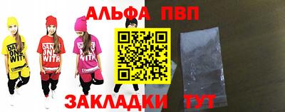 шишки Новодвинск