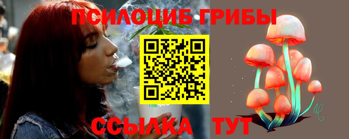 где купить наркотик  Вход с VPN  Подольск  Галлюциногенные грибы прущие грибы 